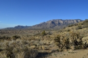 The Sandia Foothills Open Space